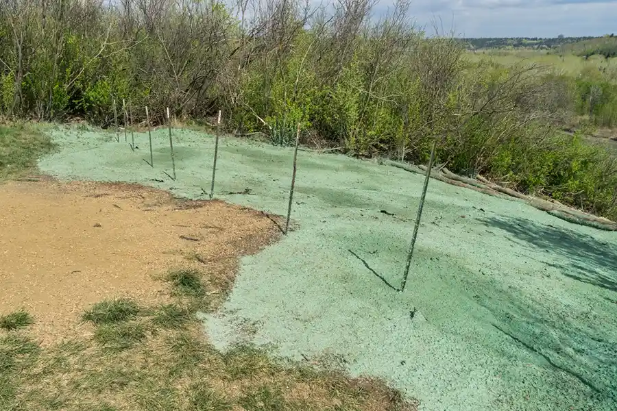 Hydroseeding