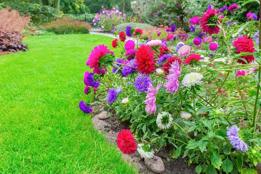 Nicolas Garcia's Landscaping's other services